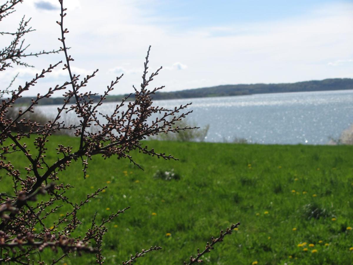 Tisvildehegn Bandb Helsinge Luaran gambar