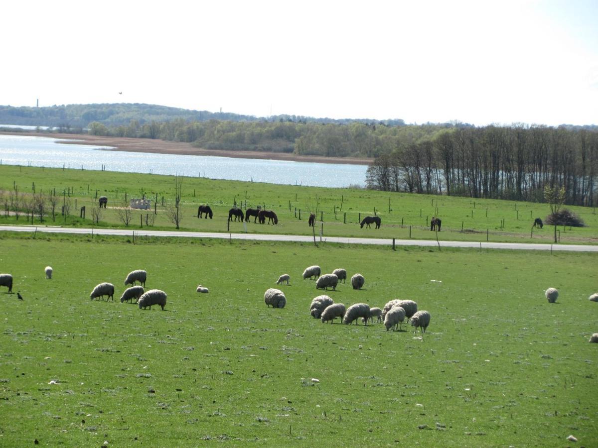 Tisvildehegn Bandb Helsinge Luaran gambar
